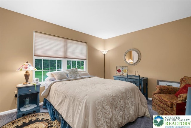 6336 Opossum Ln, Washington Twp, PA 18080 - photo 25