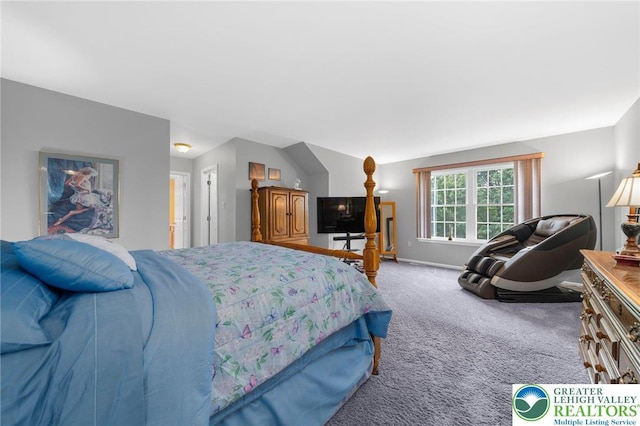 6336 Opossum Ln, Washington Twp, PA 18080 - photo 19