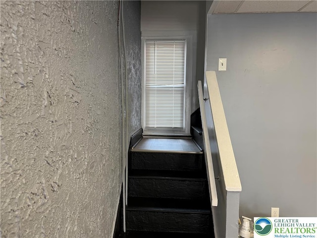 424 W Cedar St, Allentown City, PA 18102 - photo 9