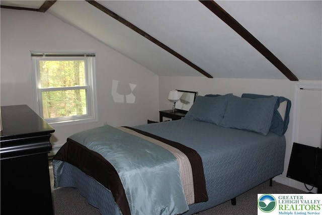156 Bear Creek Lake Dr, Penn Forest Twp, PA 18229 - photo 20