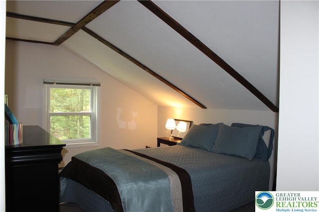 156 Bear Creek Lake Dr, Penn Forest Twp, PA 18229 - photo 21