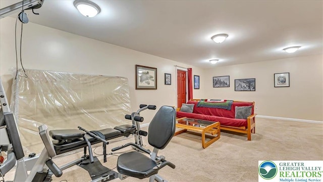 1245 Vera Dr, Forks Twp, PA 18040 - photo 41