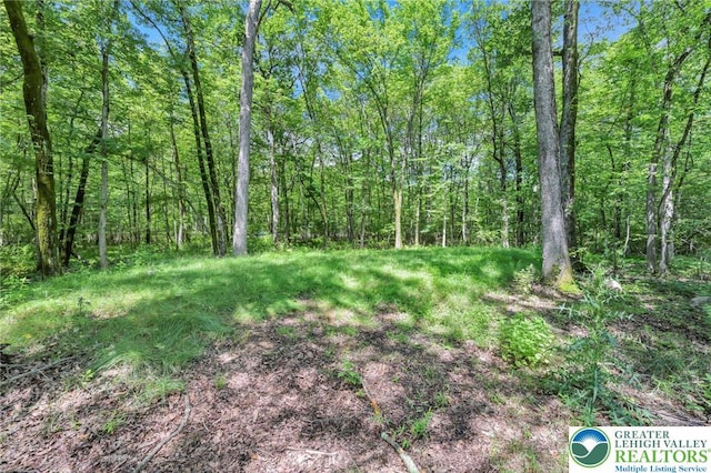 3511 Mountain Rd, Slatington Boro, PA 18080 - photo 34