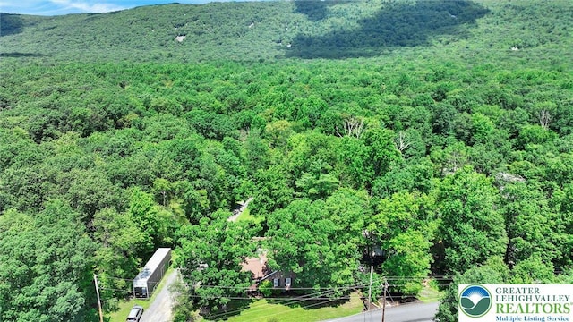 3511 Mountain Rd, Slatington Boro, PA 18080 - photo 5