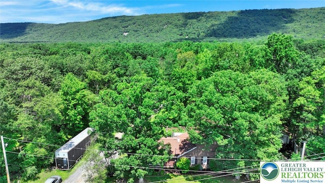 3511 Mountain Rd, Slatington Boro, PA 18080 - photo 6