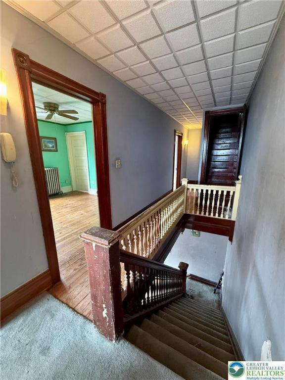 827 N 5th St, Allentown City, PA 18102 - photo 21