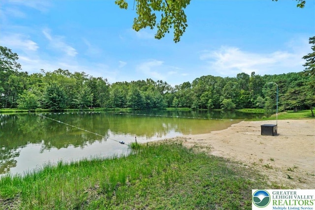 4421 Arrow Ln, Polk Twp, PA 18058 - photo 7