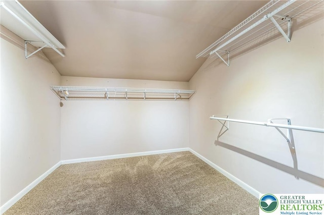 13 Johnsonville Rd, Upper Mt Bethel Twp, PA 18013 - photo 15