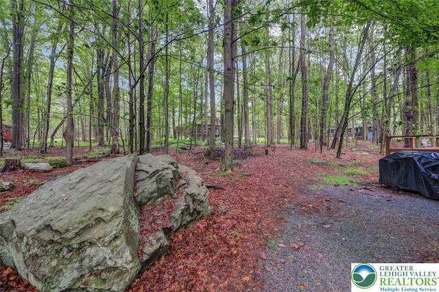 433 Orono Dr, Coolbaugh Twp, PA 18347 - photo 2