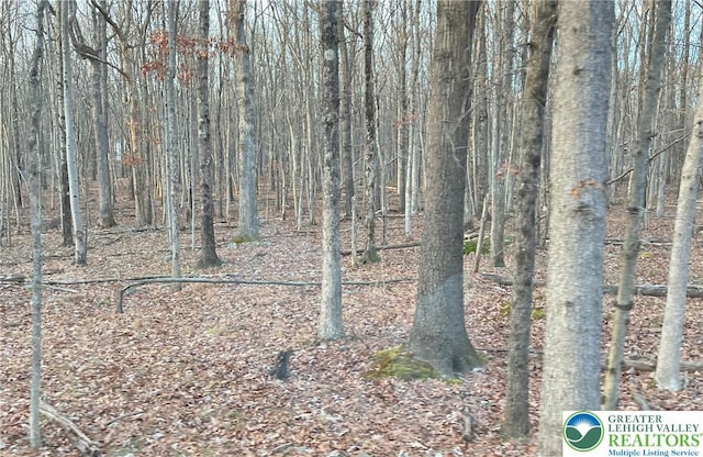 6 Occonquan Trl Unit 1723, Penn Forest Twp, PA 18210 - photo 1
