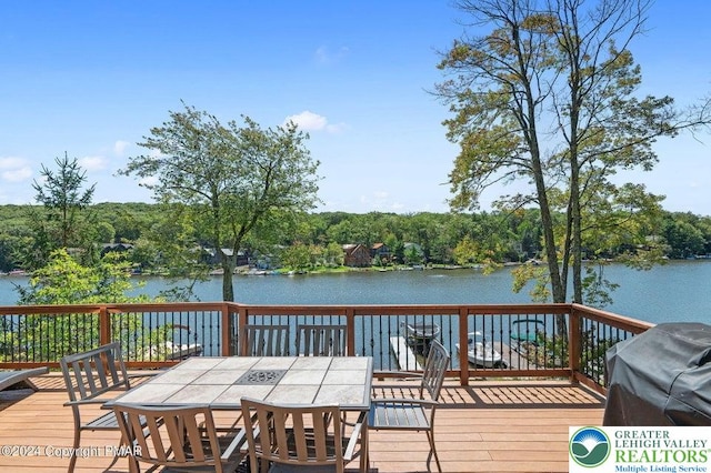 395 N Lake Dr, Kidder Township, PA 18624 - photo 57