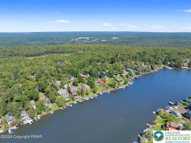 395 N Lake Dr, Kidder Township, PA 18624 - photo 75