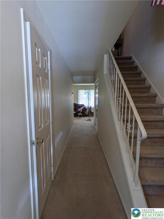 7614 Buttercup Rd, Lower Macungie Twp, PA 18062 - photo 4