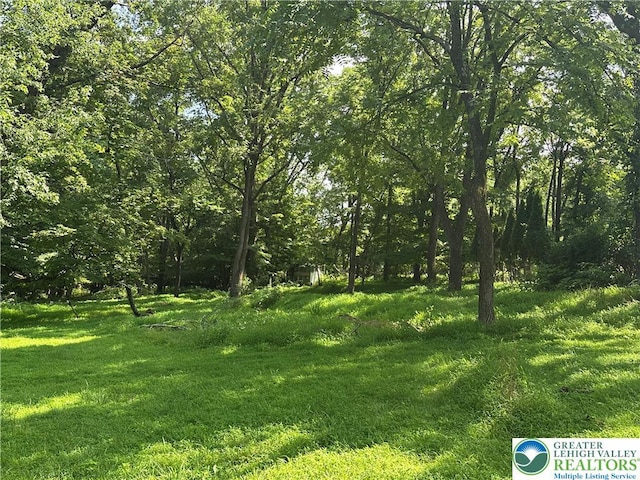 367 Slateford Rd, Upper Mt Bethel Twp, PA 18343 - photo 8