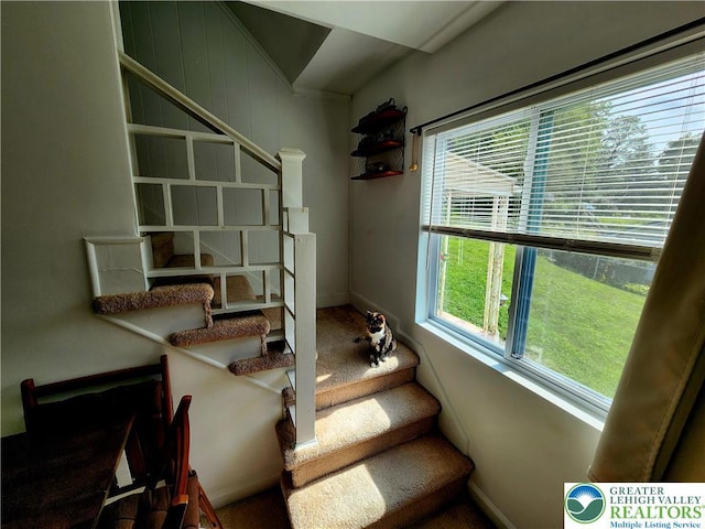 3786 Redbud, Lehigh Twp, PA 18067 - photo 29