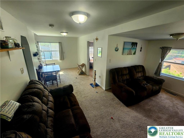 3786 Redbud, Lehigh Twp, PA 18067 - photo 19