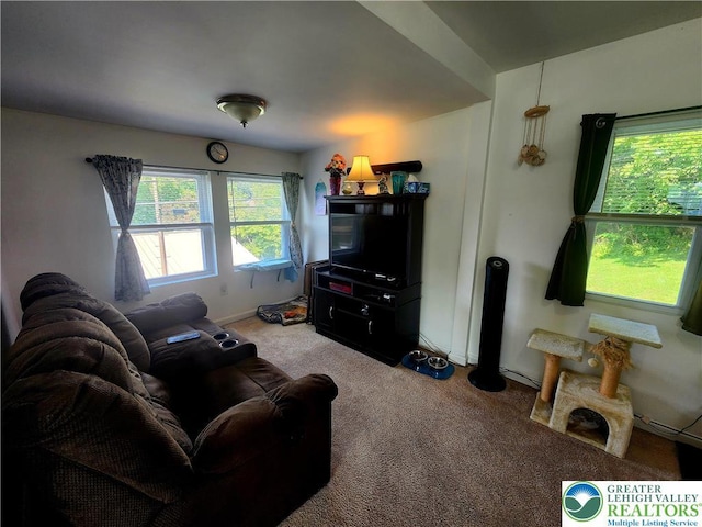 3786 Redbud, Lehigh Twp, PA 18067 - photo 20
