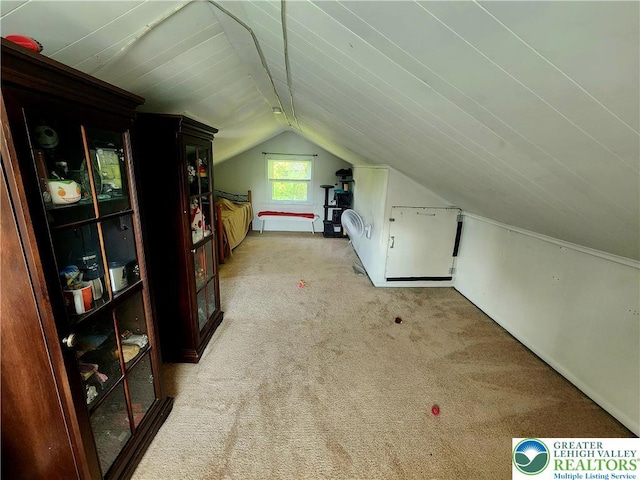 3786 Redbud, Lehigh Twp, PA 18067 - photo 26
