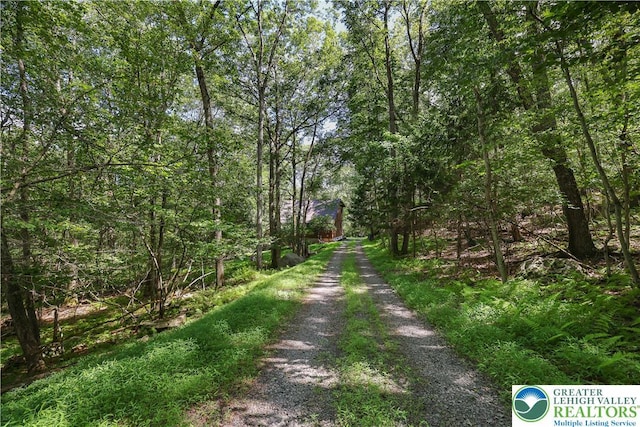424 Iroquois Loop, Barrett Twp, PA 18325 - photo 8