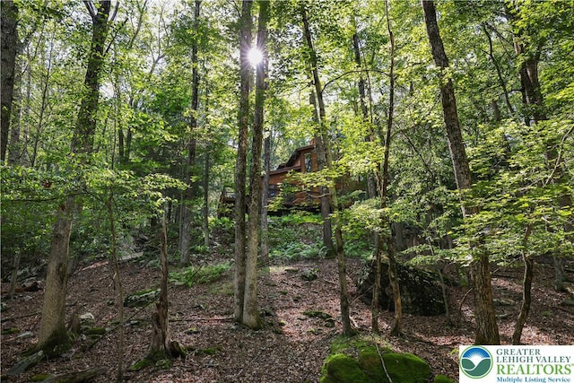424 Iroquois Loop, Barrett Twp, PA 18325 - photo 48