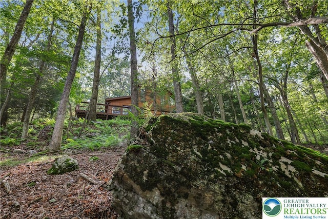 424 Iroquois Loop, Barrett Twp, PA 18325 - photo 50