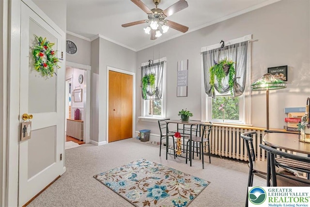 223 N 3rd St, Lehighton Boro, PA 18235 - photo 17