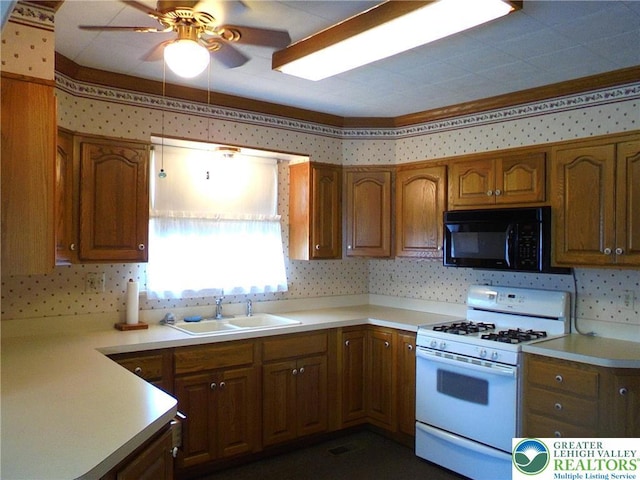 826 E Federal St, Allentown City, PA 18103 - photo 5
