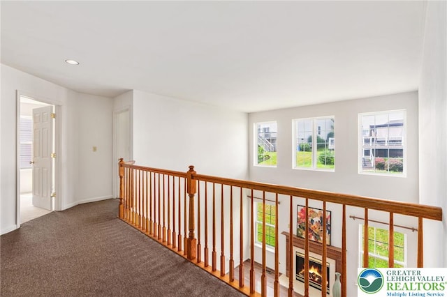 6903 Lincoln Dr, Lower Macungie Twp, PA 18062 - photo 33