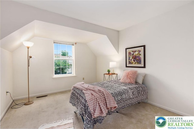 6903 Lincoln Dr, Lower Macungie Twp, PA 18062 - photo 39
