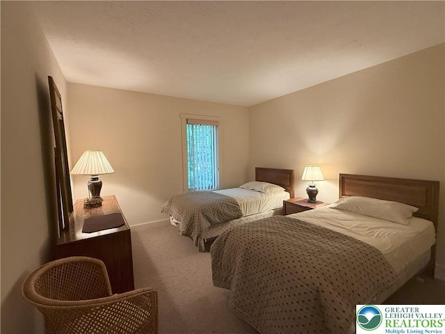 31 Down, Hill, PA 18624 - photo 2