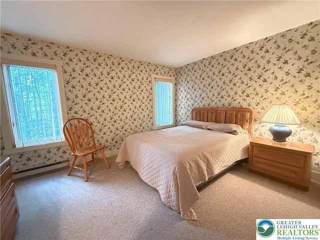 31 Down, Hill, PA 18624 - photo 4