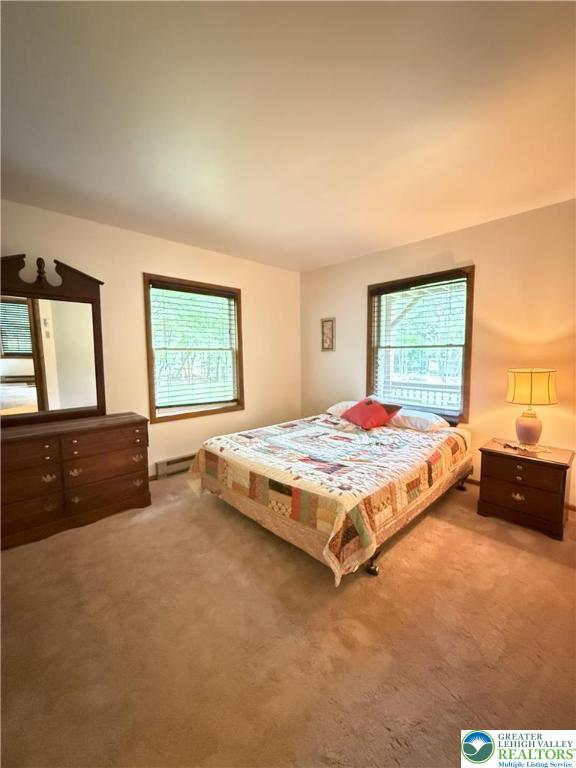 281 Fern Ridge Rd, Pa, PA 18610 - photo 5