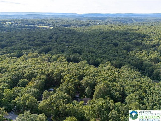 1405 Grand Mesa Dr, Chestnuthill Twp, PA 18330 - photo 38