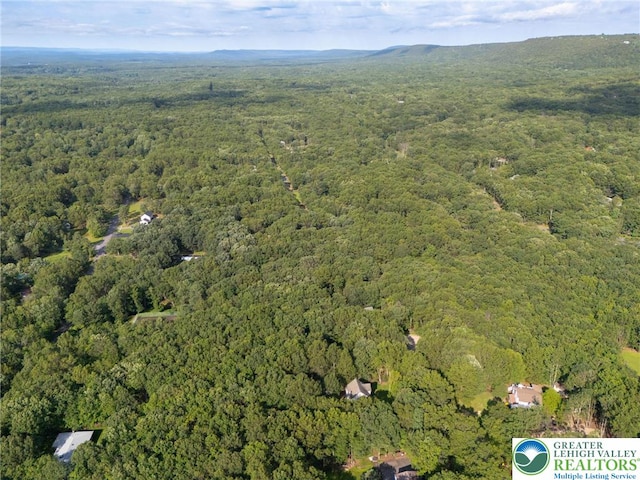 1405 Grand Mesa Dr, Chestnuthill Twp, PA 18330 - photo 39