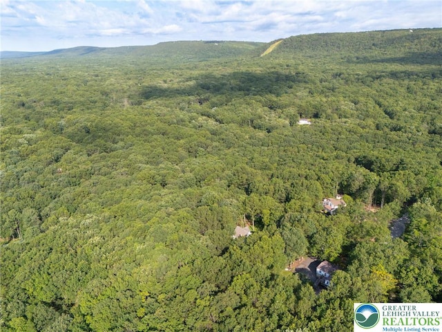 1405 Grand Mesa Dr, Chestnuthill Twp, PA 18330 - photo 40