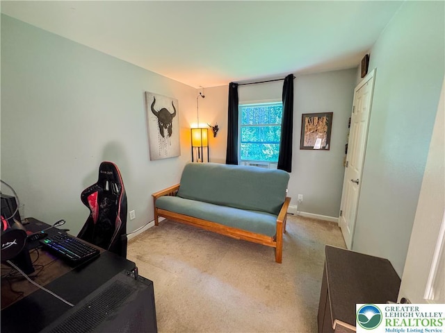 375 Forest Dr, Lower Towamensing Tp, PA 18071 - photo 12