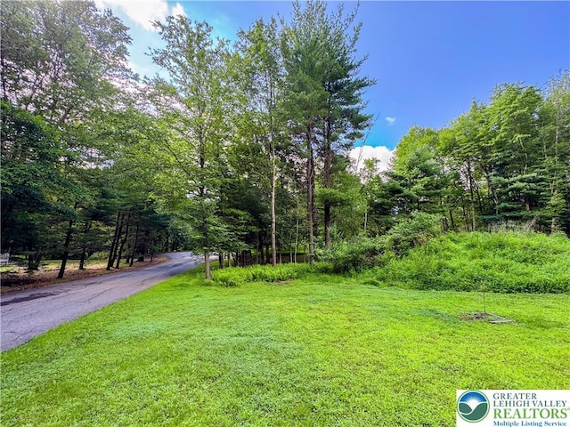 375 Forest Dr, Lower Towamensing Tp, PA 18071 - photo 15