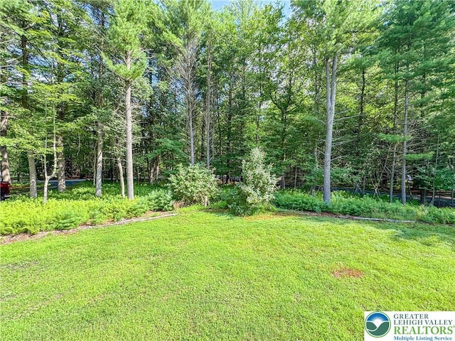 375 Forest Dr, Lower Towamensing Tp, PA 18071 - photo 23