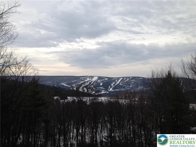375 Forest Dr, Lower Towamensing Tp, PA 18071 - photo 24