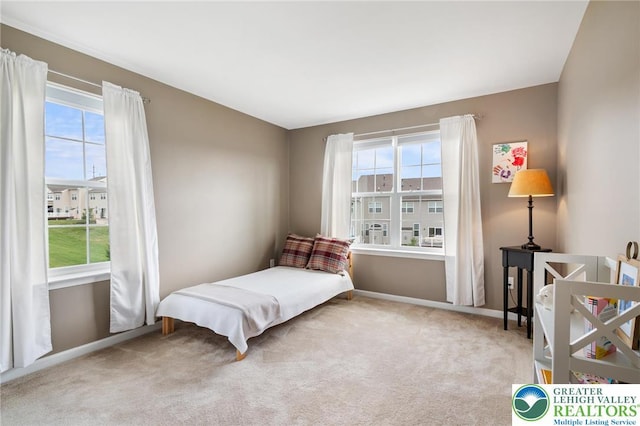 4628 Woodbrush Way, Allentown City, PA 18104 - photo 27