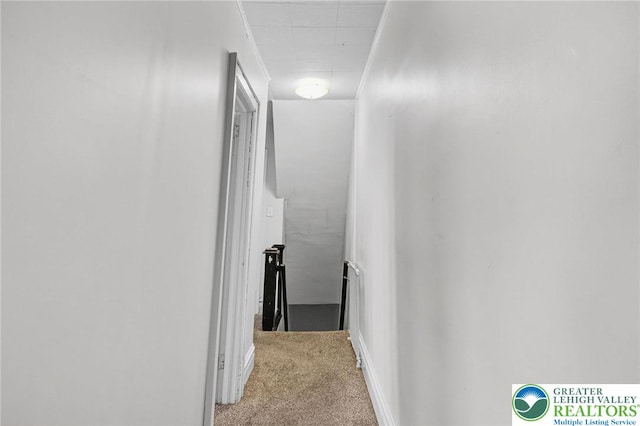 723 Saint John St, Allentown City, PA 18103 - photo 19