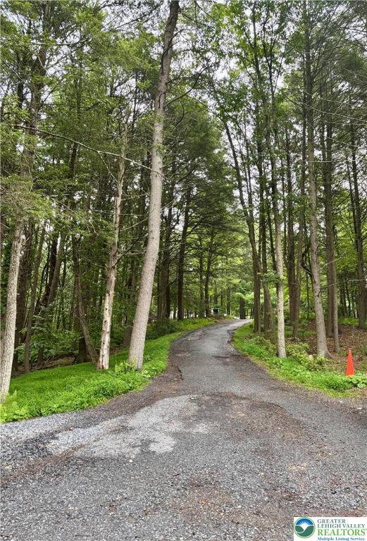 105 Aspen Way, Lower Towamensing Tp, PA 18071 - photo 25