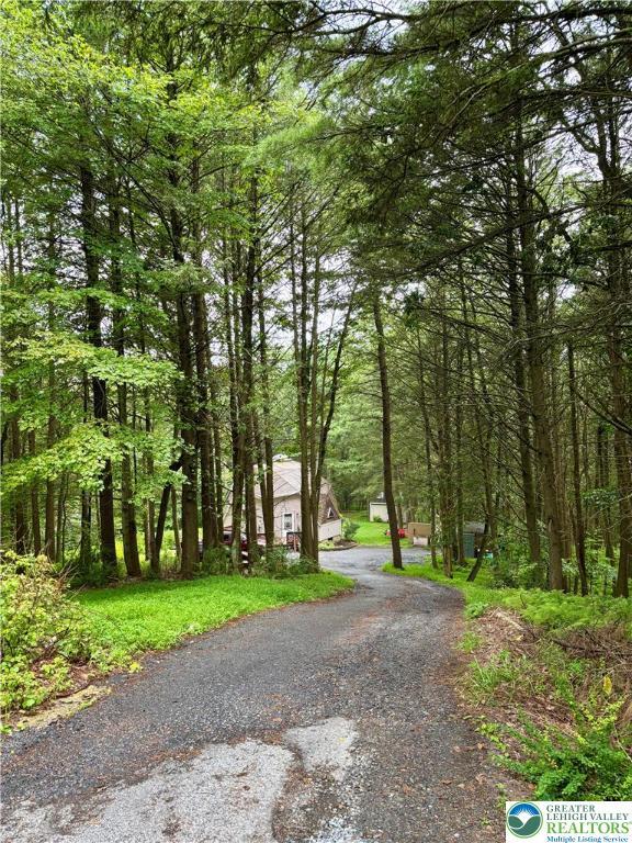 105 Aspen Way, Lower Towamensing Tp, PA 18071 - photo 26