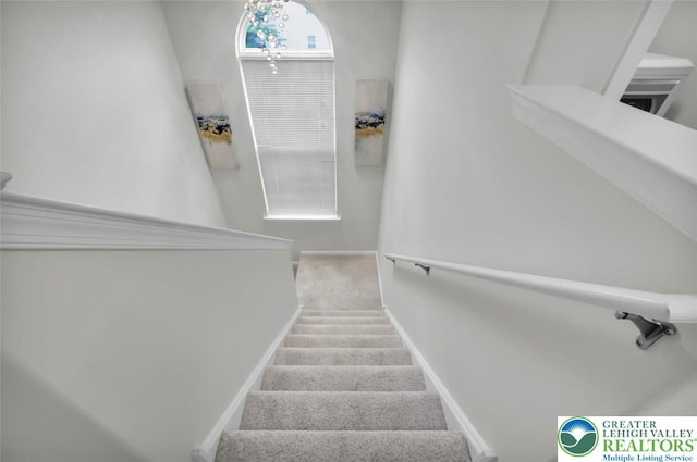 1031 King Way, Upper Macungie Twp, PA 18031 - photo 40