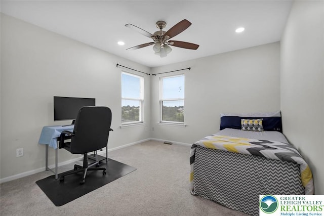 1031 King Way, Upper Macungie Twp, PA 18031 - photo 46