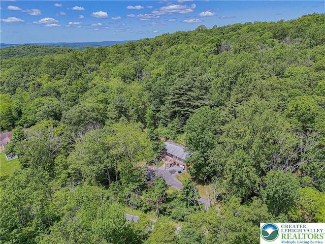 1135 Poplar Valley Rd E, Stroud Twp, PA 18360 - photo 48