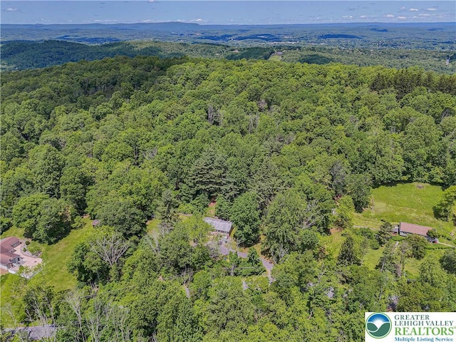 1135 Poplar Valley Rd E, Stroud Twp, PA 18360 - photo 49
