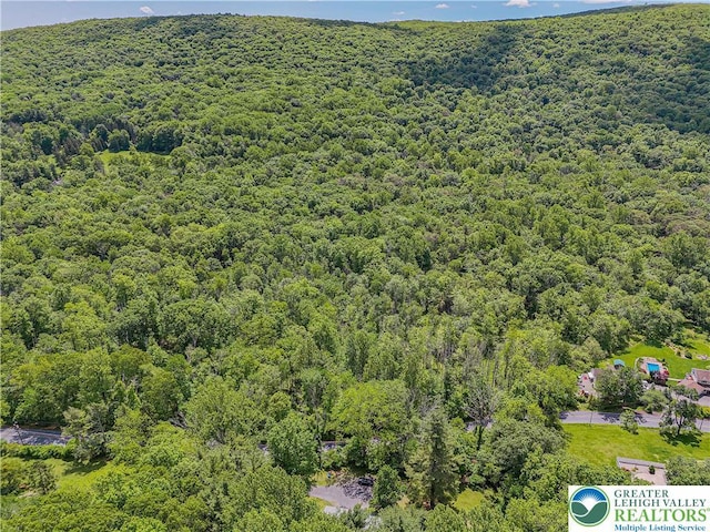1135 Poplar Valley Rd E, Stroud Twp, PA 18360 - photo 54
