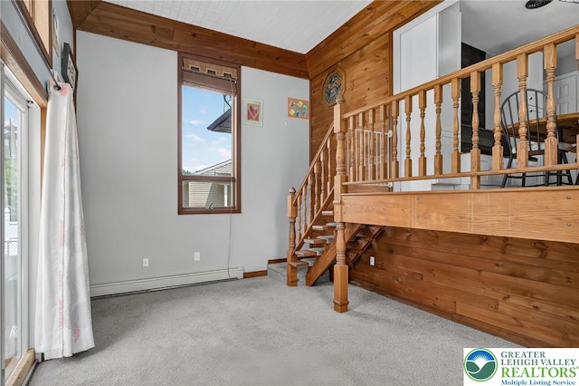 2913 Hay Ter, Easton, PA 18045 - photo 22