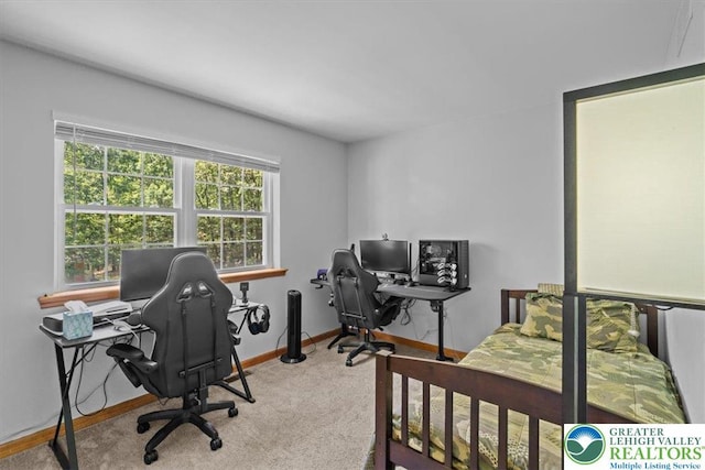 148 Squirrelwood Ct, Polk Twp, PA 18330 - photo 38